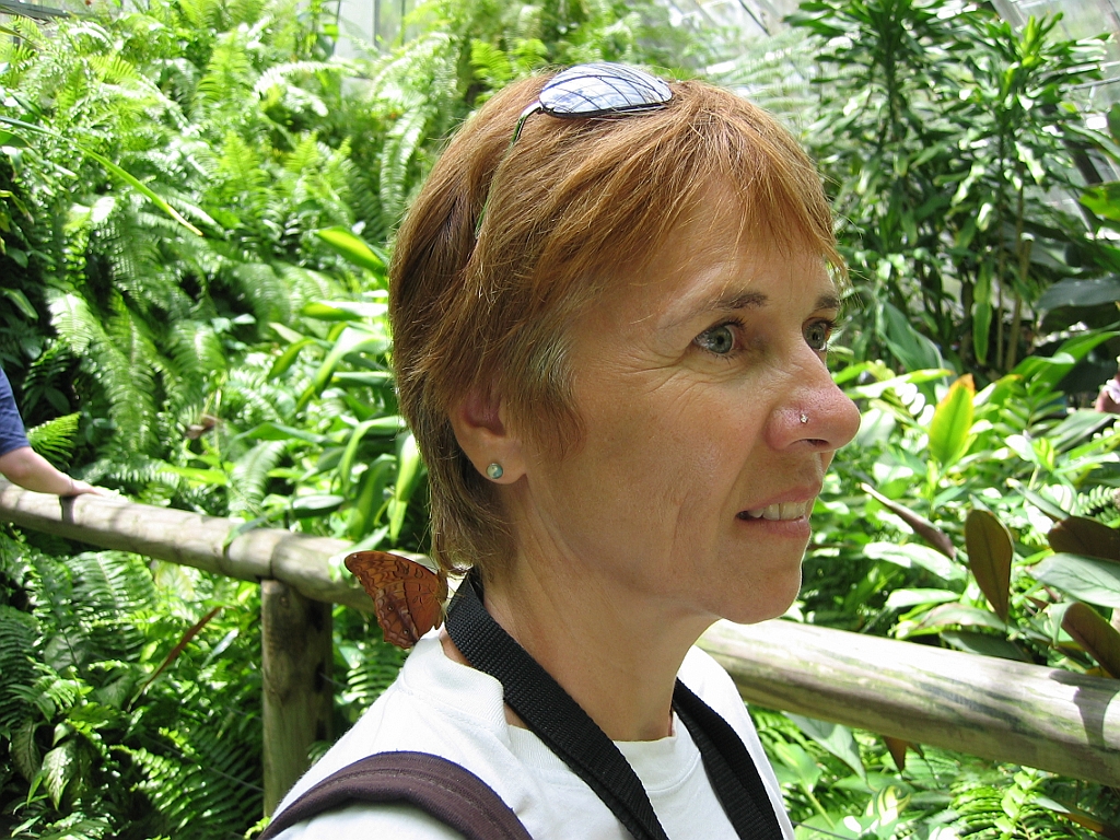 076 Kuranda Butterfly Sanctuary.jpg